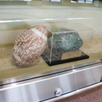 Buford's first state championship in football is displayed in the trophy case inside the banquet hall.